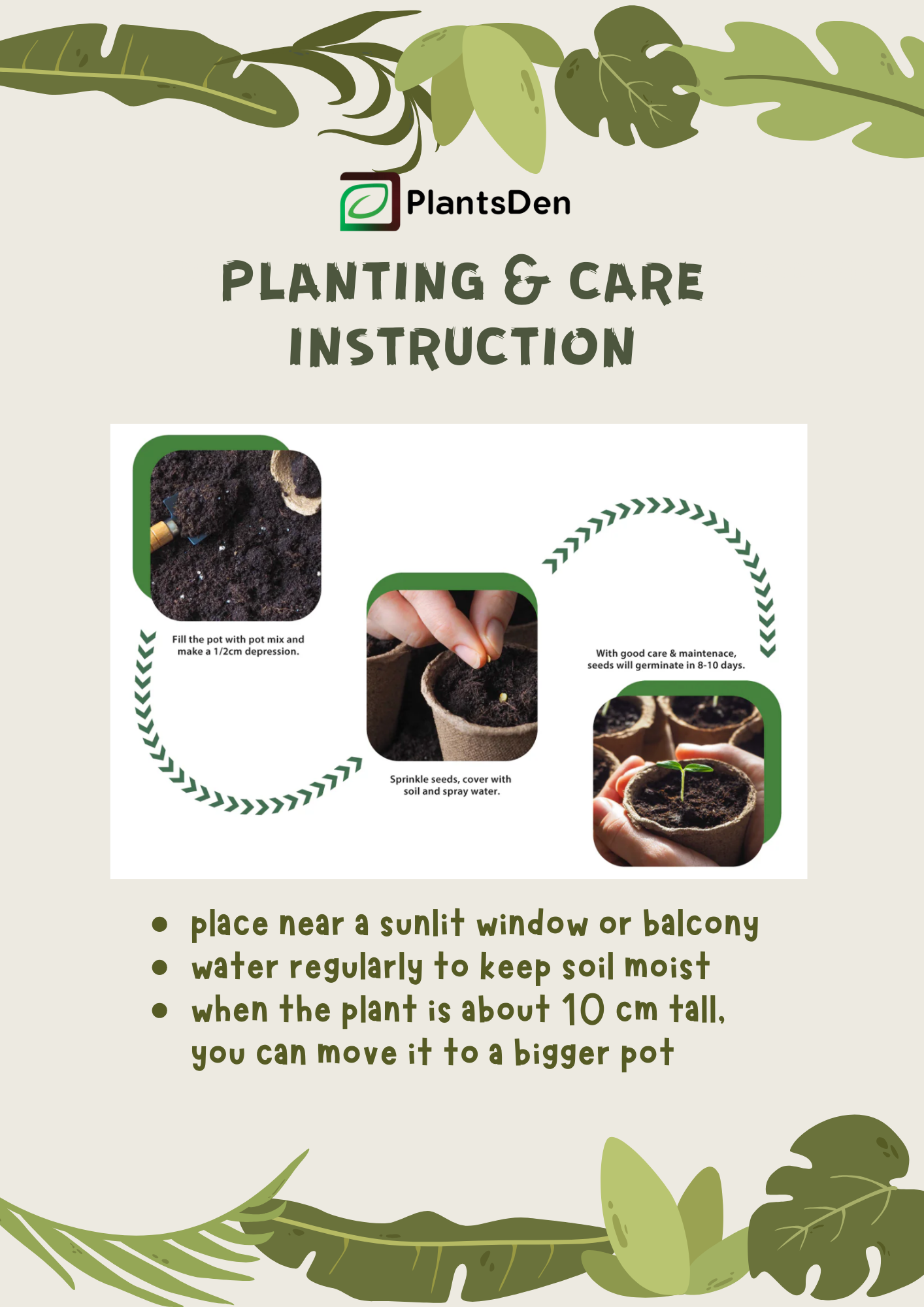 Junior Gardener Grow kit