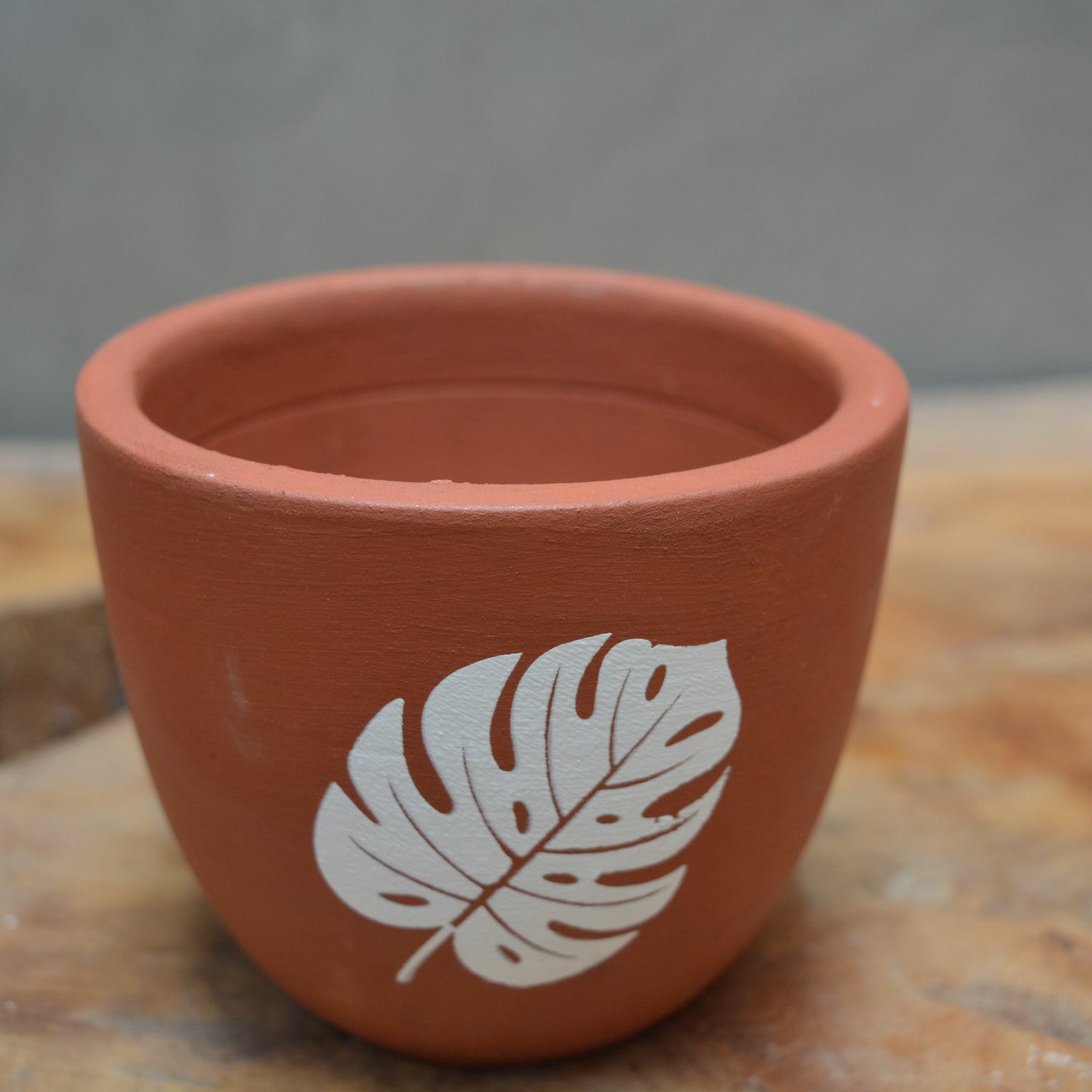 4 inch Mandala Terracotta Pot(assorted color)