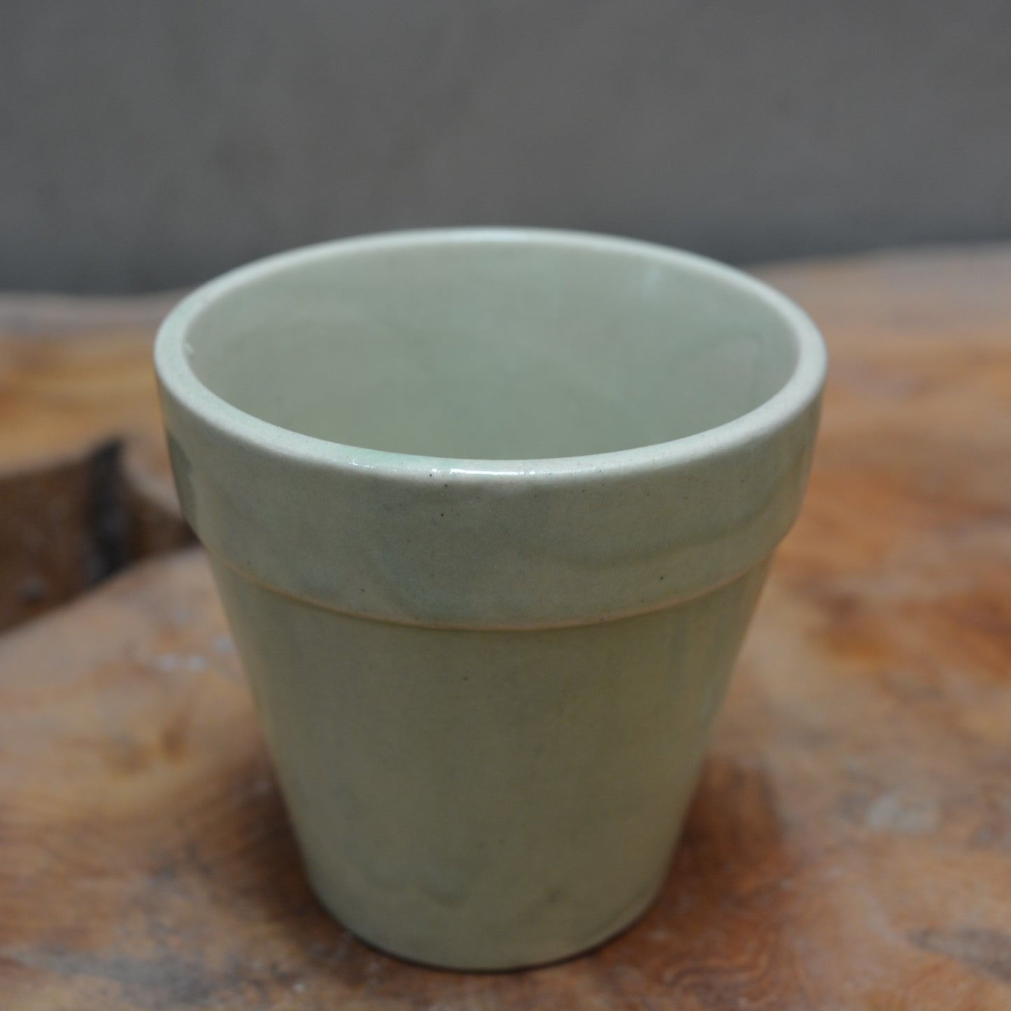 The Dream Ceramic Pot(assorted color) 4inch
