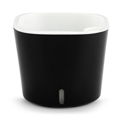 Gardencia cube(assorted color)