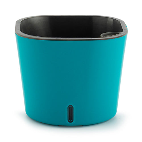 Gardencia cube(assorted color)
