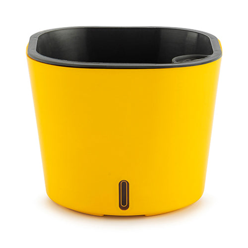 Gardencia cube(assorted color)