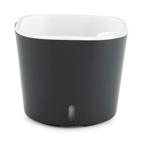 Gardencia cube(assorted color)