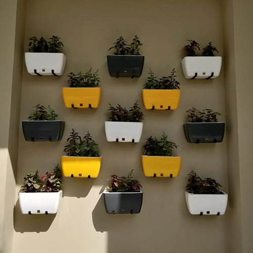 Gardencia recta small(assorted color)