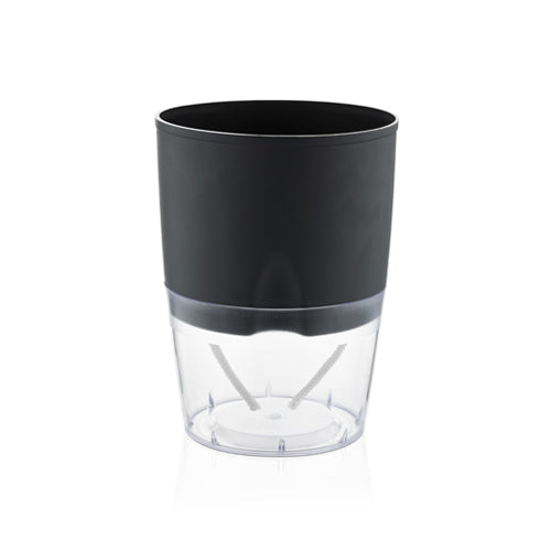 Gardencia lobello(assorted color) - 5inch plastic pot