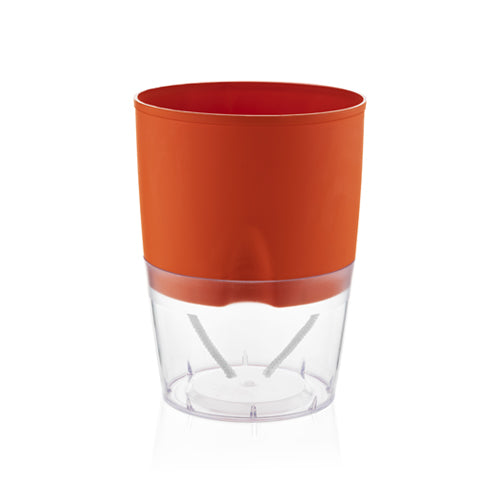 Gardencia lobello(assorted color) - 5inch plastic pot