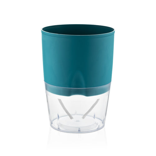 Gardencia lobello(assorted color) - 5inch plastic pot