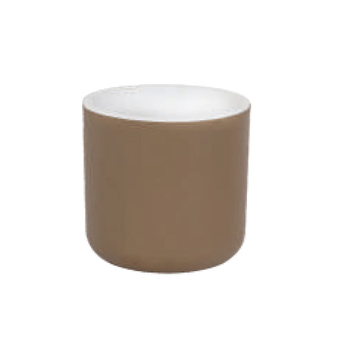 Gardencia lorenzo(assorted color) - 4inch plastic pot