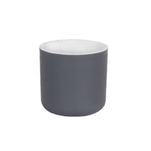 Gardencia lorenzo(assorted color) - 4inch plastic pot
