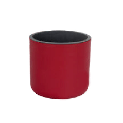 Gardencia lorenzo(assorted color) - 4inch plastic pot