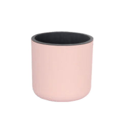 Gardencia lorenzo(assorted color) - 4inch plastic pot