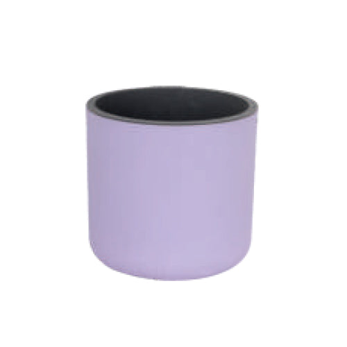 Gardencia lorenzo(assorted color) - 4inch plastic pot