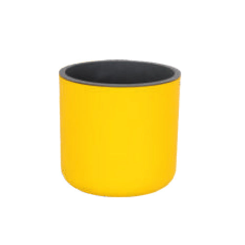 Gardencia lorenzo(assorted color) - 4inch plastic pot
