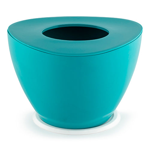 Gardencia triangle(assorted color) - 4inch plastic pot