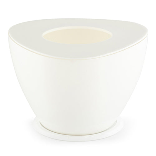 Gardencia triangle(assorted color) - 4inch plastic pot