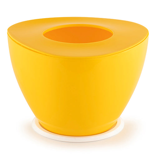 Gardencia triangle(assorted color) - 4inch plastic pot