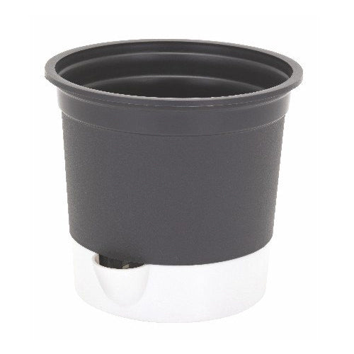 Gardencia gift pot(set of 3 assorted color) - 5inch plastic pot