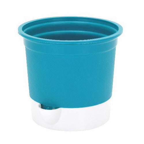 Gardencia gift pot(set of 3 assorted color) - 5inch plastic pot
