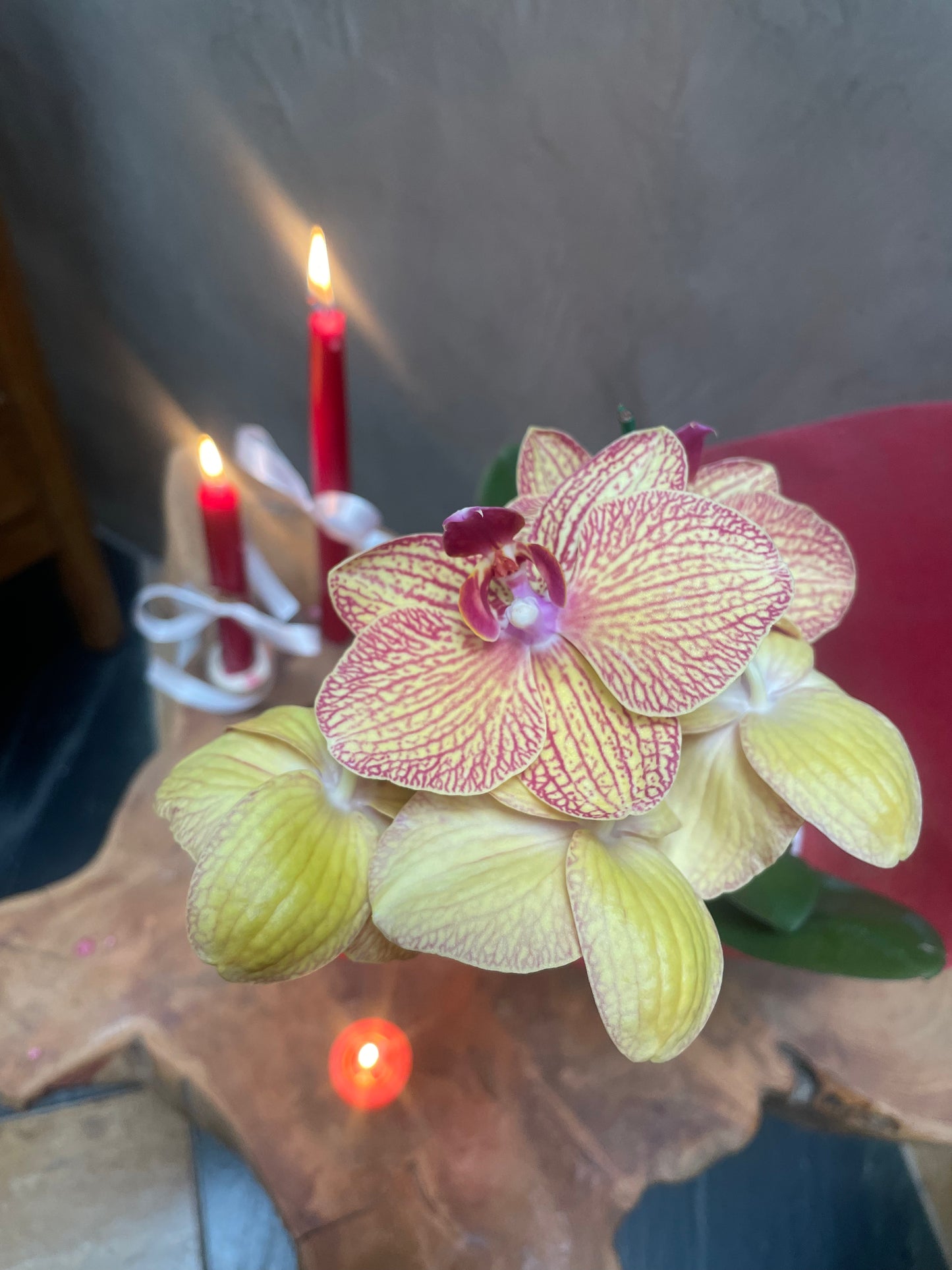 Orchid flower with two lit candles in the background