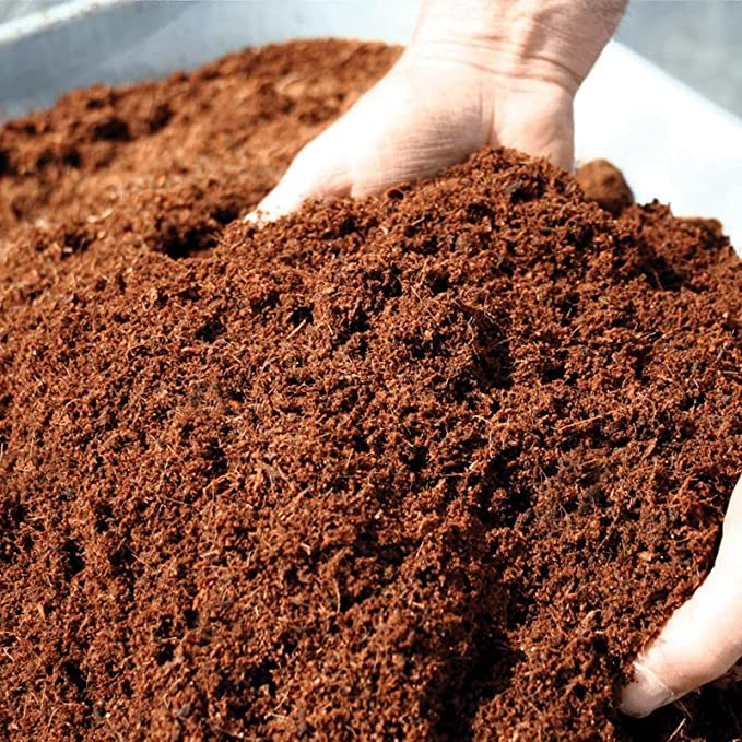 Cocopeat Block
