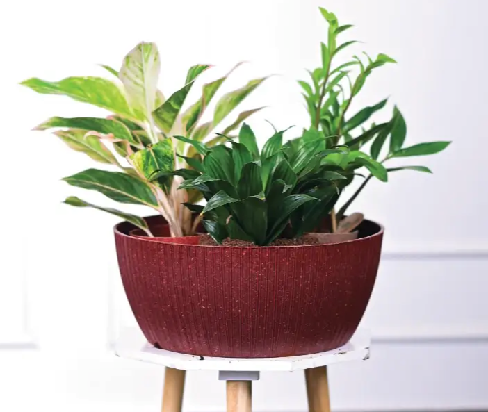 Geneva eco round planter - 12 inch