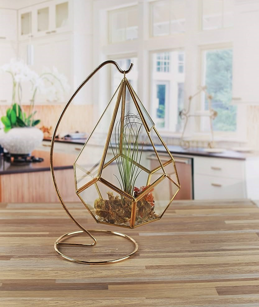 Hanging Stand Terrarium size 14*14*29 cm