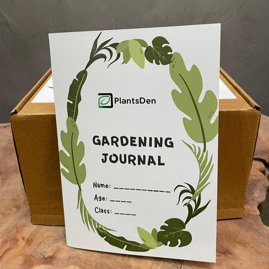 Junior Gardener Grow kit