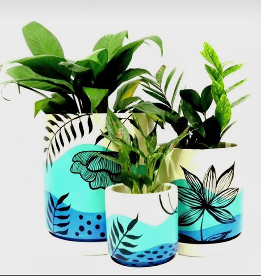 Handpainted Terracotta pot 6inch