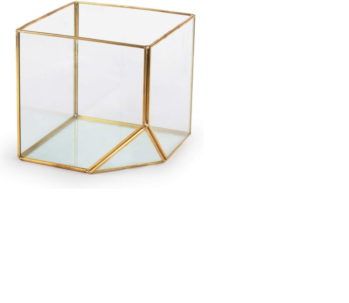 terrarium cube shape -- size in 6x6 inches