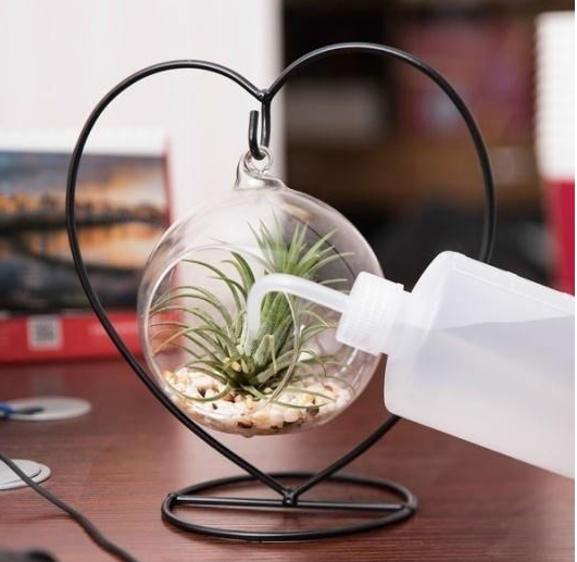 terrarium heart shape stand -- size in 9 x 4.5 x 8 .5 inches
