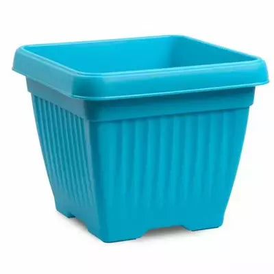 Bello square with tray(Assorted colour)
