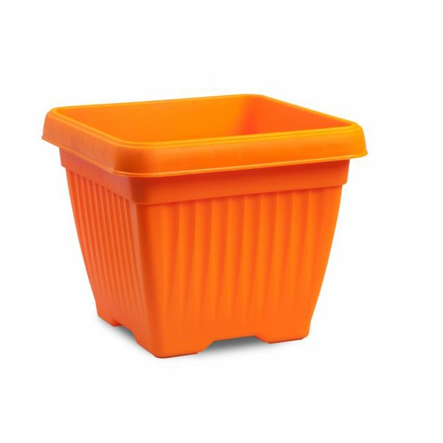 Bello square with tray(Assorted colour)