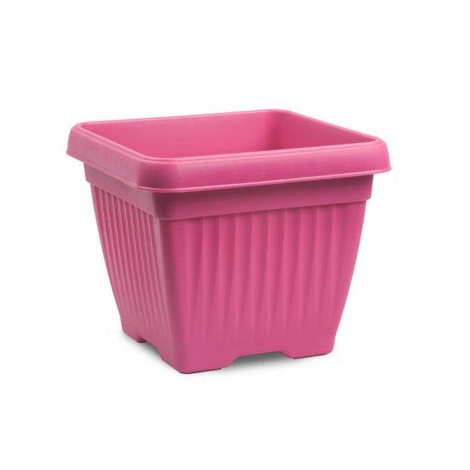 Bello square with tray(Assorted colour)