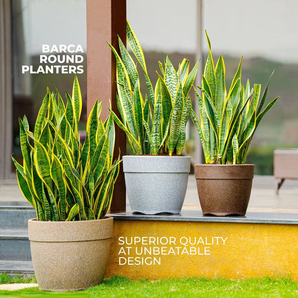 Round Frp Planter Pots, For Outdoor And Indoor, Size: Height 16,21 And 27  (inches) at Rs 2500 in Bengaluru