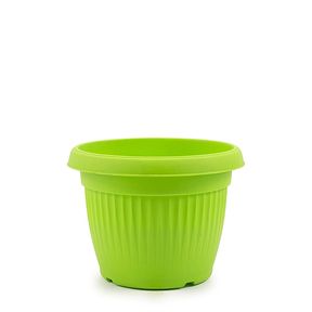 Bello round with tray(Assorted colour)