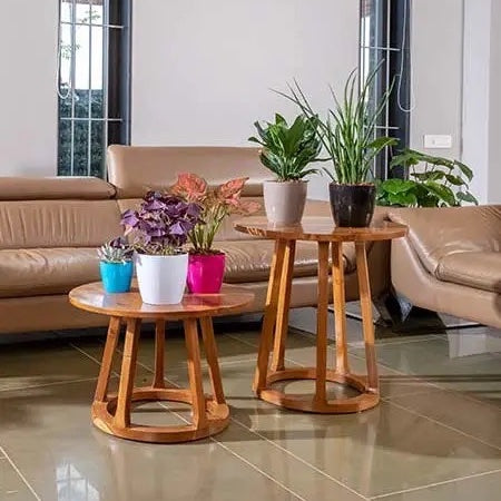 Valencia planter medium (Assorted colour) - Set of 2