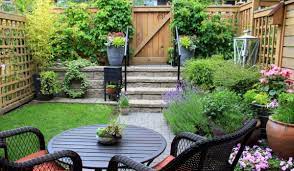 Top 10 Home Garden plants for your collection