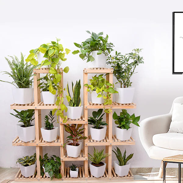 Compilation of the Top 10 Benefits of house plants