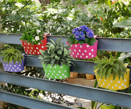 Tips to Help You Select the Perfect Pots and Planters with Ideal Colors