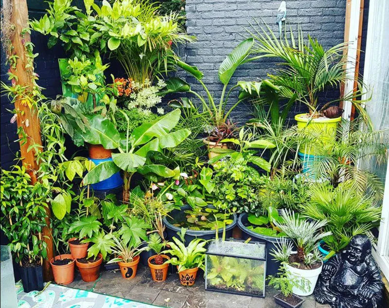 Top Advice for Beginner Gardeners