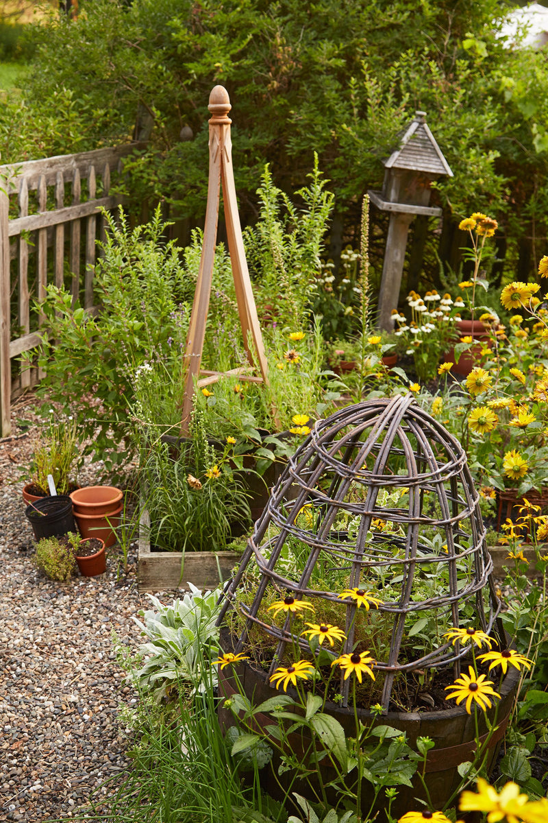 Most common gardening questions and their answers