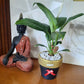 Peace lily in 6inch black and gold terracotta pot