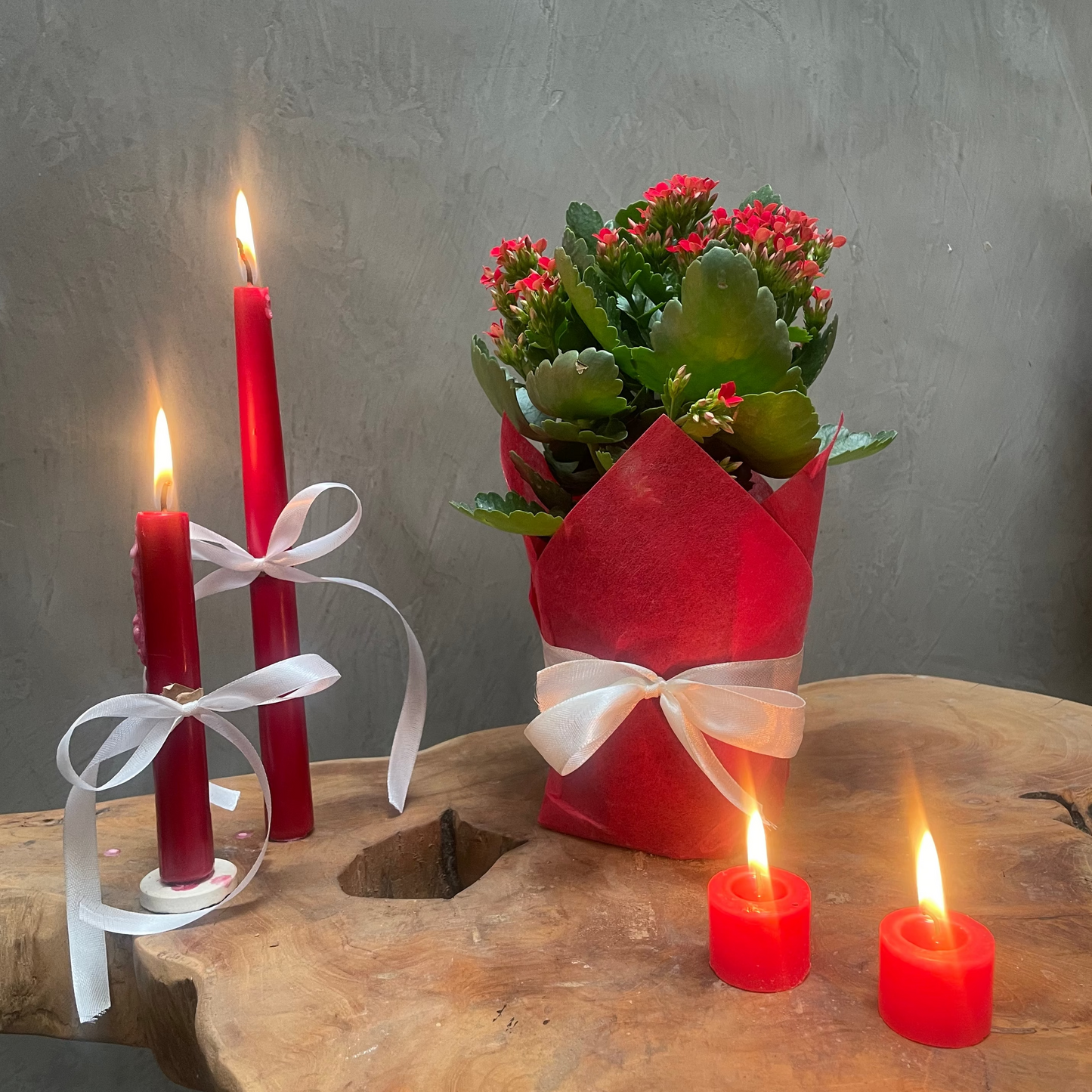 Kalanchoe flower plant in gift package