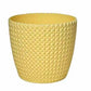 capri pot(assorted color)