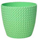 capri pot(assorted color)