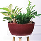 Geneva eco round planter