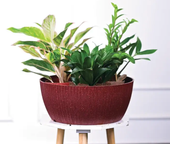 Geneva eco round planter