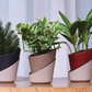 Atlantis eco self watering planter (Assorted colour) - Set of 3