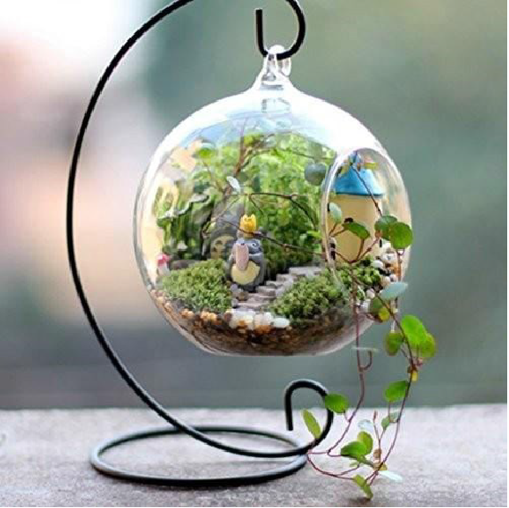 This glass Hanging Stand Terrarium