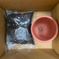 Junior Gardener Grow kit